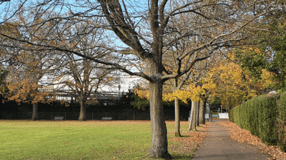 A pathway through London Road Recreation Ground surrounded by trees